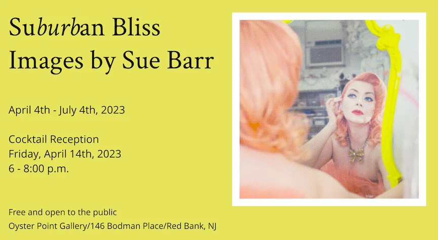 Sue Barr: Suburban Bliss Cover Image